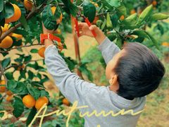 -前小桔亲子创意农场·草莓采摘·露营烧烤