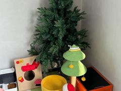 -上海浦东smart汽车全功能店(金桥店)
