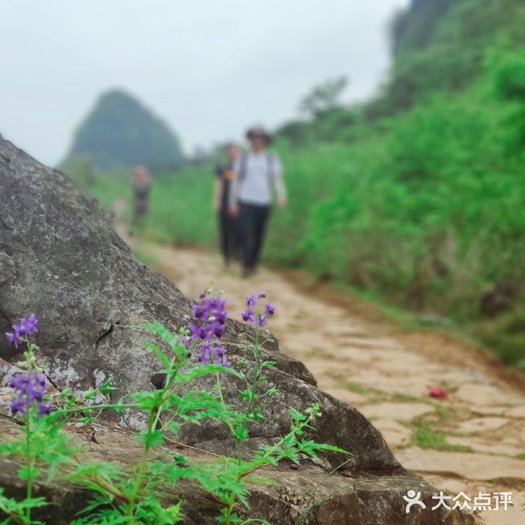 广东秦汉古道||适合户外小白的徒步路线