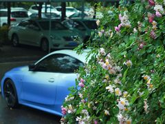 -谷咖啡·鲜花绿植花园餐厅