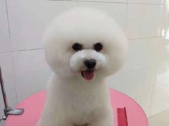 -宠颐生宠物医院·心肾内科·猫专科诊疗中心宠巢店
