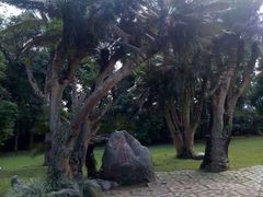 -中国科学院西双版纳热带植物园