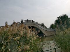 -天津东丽湖风景区