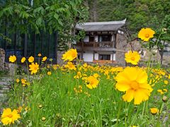 -牛背山