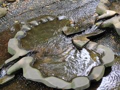 -成都市活水公园
