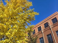 -北京市海淀外国语实验学校