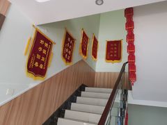 -瑞鹏宠物医院·内科·中兽医·骨科(苗圃店)