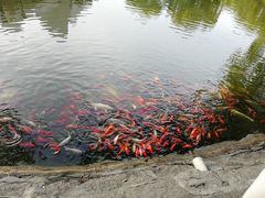-北京世界公园