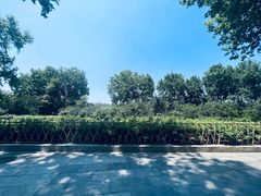 -济南大明湖景区