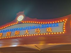 -广州长隆国际大马戏