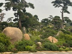 -罗红摄影艺术馆