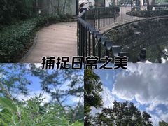 -中山公园