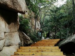 -大岭沟猕猴桃谷风景区