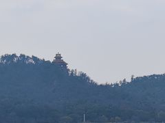 -东湖落雁景区