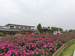 -泰山天颐湖旅游度假区