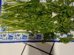 -万达广场(泰安泰山店)