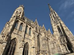 -斯蒂芬主教座堂(Stephansdom)