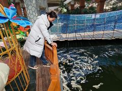 -南宫五洲植物乐园