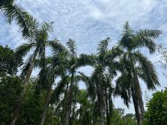 -西双版纳傣族园