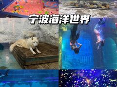 -宁波香格里拉大酒店
