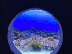-左海海底世界