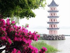 -无锡蠡湖国家湿地公园-蠡园