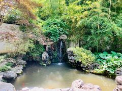-上海醉白池公园