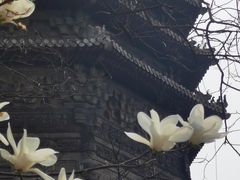 -玲珑塔公园