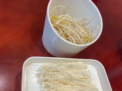 -火焰金龟甲(汉阳江滩旗舰店)