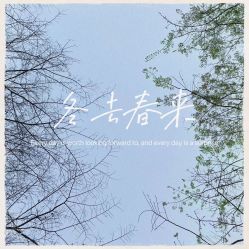 点击看大图 -金夫人婚纱摄影(总店)