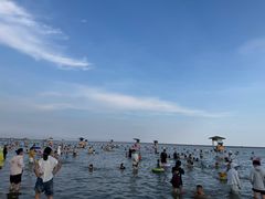 -碧海金沙