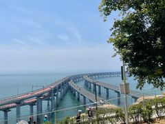 -星海湾跨海大桥