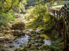 -雁荡山三折瀑景区
