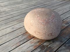 -昆山城市生态森林公园