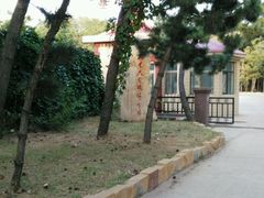 -山东大学(威海校区)