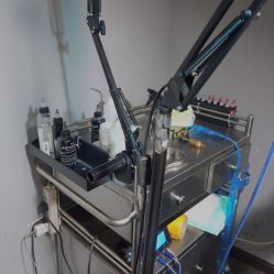 -刺客纹画纹身·洗纹身·穿孔饰品