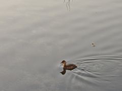 -东岸Cafe 爵士俱乐部