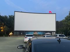 -枫花园汽车电影院(朝阳公园店)