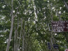 -杨氏青龙虾·羊蝎子(金盛路总店)