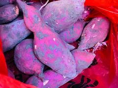 -乡乐园蟹庄·阳澄湖农家乐