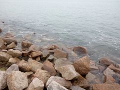 -宝安西湾红树林湿地公园