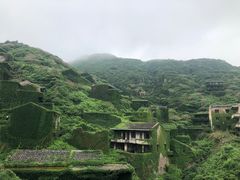 -枸杞岛