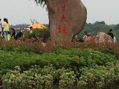 -大塘金香草谷