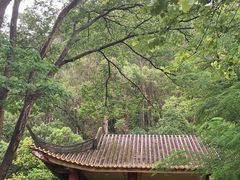 -顺峰山公园