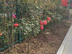 -无锡市市民中心