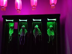 -N次方实景密室逃脱 (中宏大厦店)