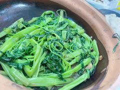 砂锅通菜-荔苑隆都菜馆(沙溪店)