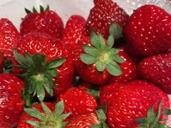 -静之湖湖畔餐厅