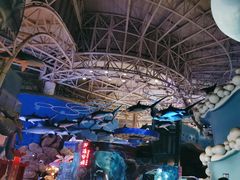 -烟台海昌鲸鲨海洋公园