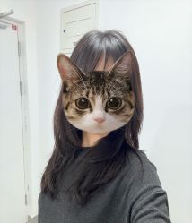 -和木形象